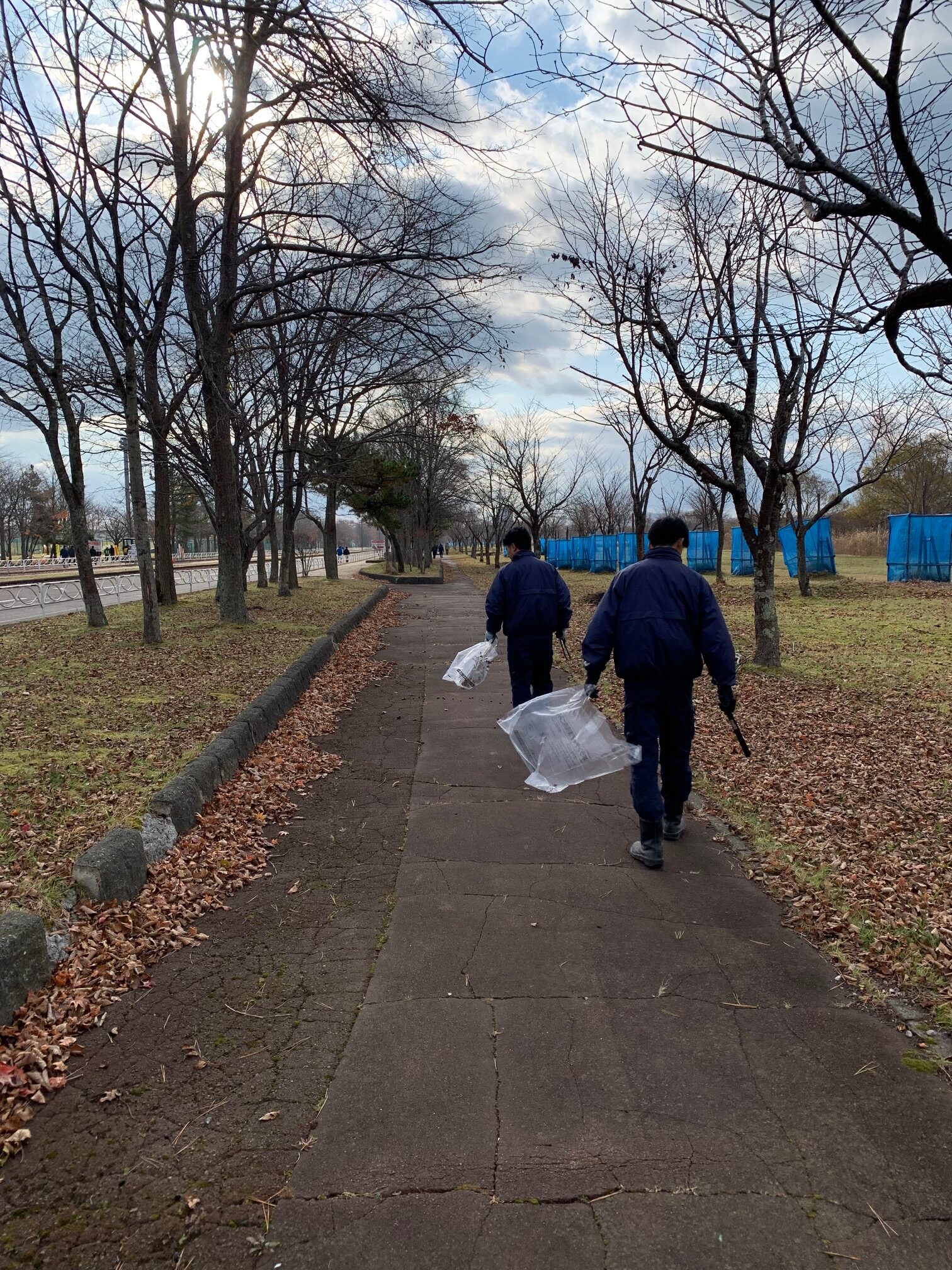 秋のボランティア 秋のボランティア